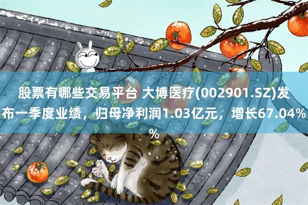 股票有哪些交易平台 大博医疗(002901.SZ)发布一季度业绩，归母净利润1.03亿元，增长67.04%