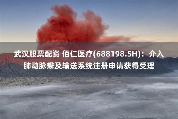 武汉股票配资 佰仁医疗(688198.SH)：介入肺动脉瓣及输送系统注册申请获得受理