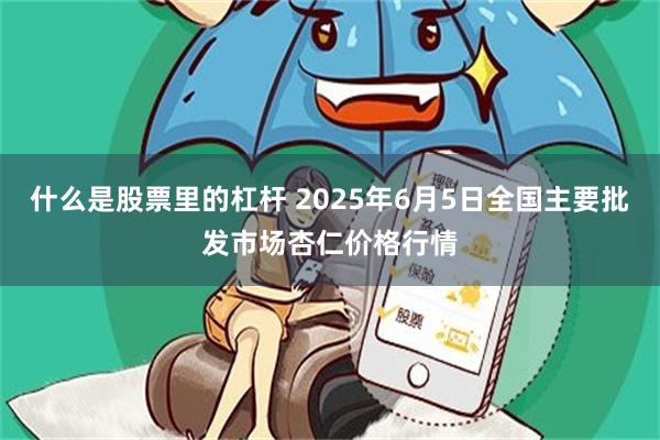什么是股票里的杠杆 2025年6月5日全国主要批发市场杏仁价格行情