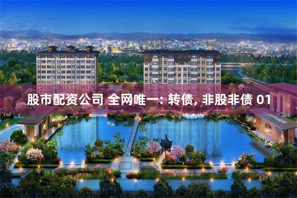 股市配资公司 全网唯一: 转债, 非股非债 01