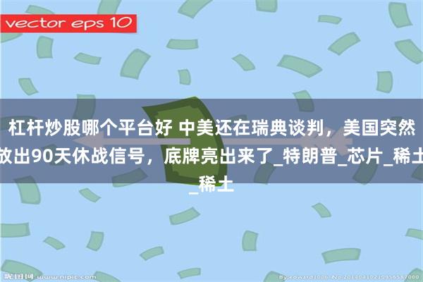 杠杆炒股哪个平台好 中美还在瑞典谈判，美国突然放出90天休战信号，底牌亮出来了_特朗普_芯片_稀土
