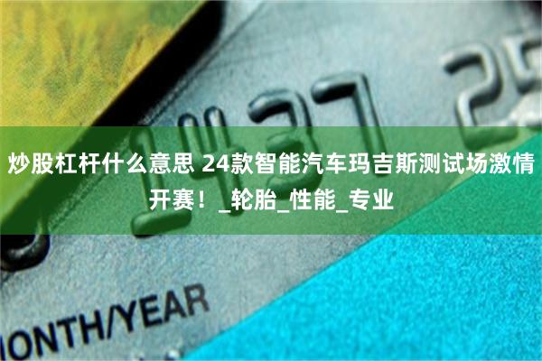 炒股杠杆什么意思 24款智能汽车玛吉斯测试场激情开赛！_轮胎_性能_专业