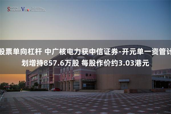 股票单向杠杆 中广核电力获中信证券-开元单一资管计划增持857.6万股 每股作价约3.03港元