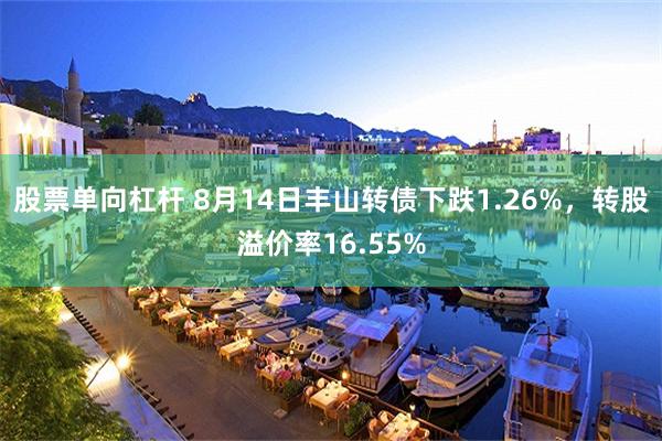 股票单向杠杆 8月14日丰山转债下跌1.26%，转股溢价率16.55%