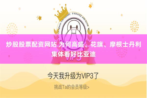 炒股股票配资网站 为何高盛、花旗、摩根士丹利集体看好比亚迪